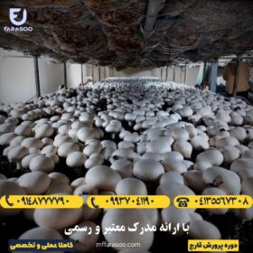 آموزش پرورش قارچ در تبریز