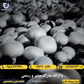 آموزش پرورش قارچ در تبریز